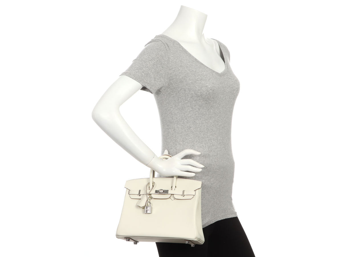 Hermès Mushroom Swift Birkin 25 - Image 12