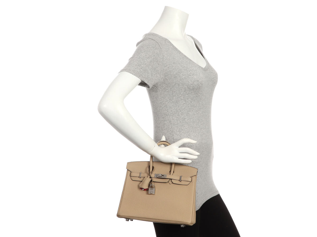 Hermès Trench and Bougainvillea Togo Verso Birkin 25 - Image 12