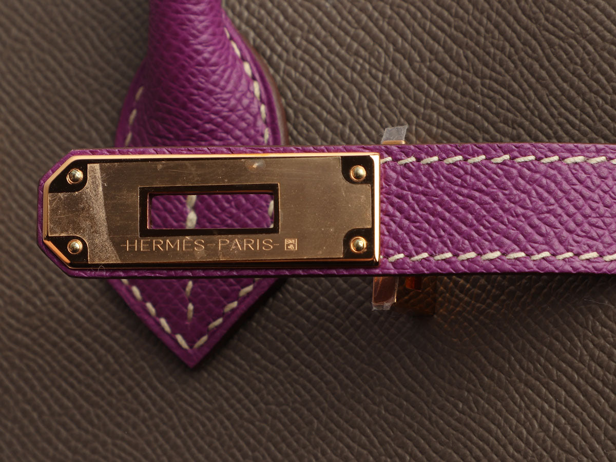 Hermès SO Etain and Anemone Epsom Birkin 30 - Image 9