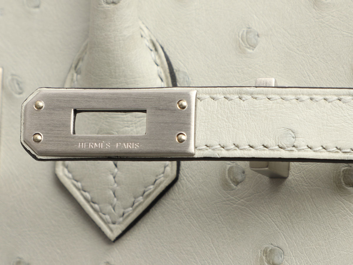 Hermès SO Gris Perle Ostrich Verso Birkin 25 - Image 9