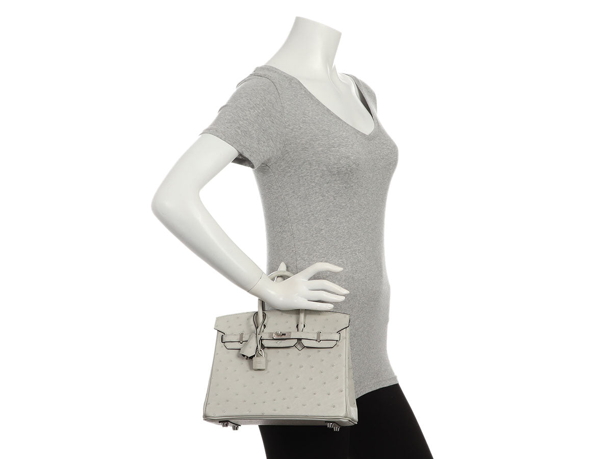 Hermès SO Gris Perle Ostrich Verso Birkin 25 - Image 11