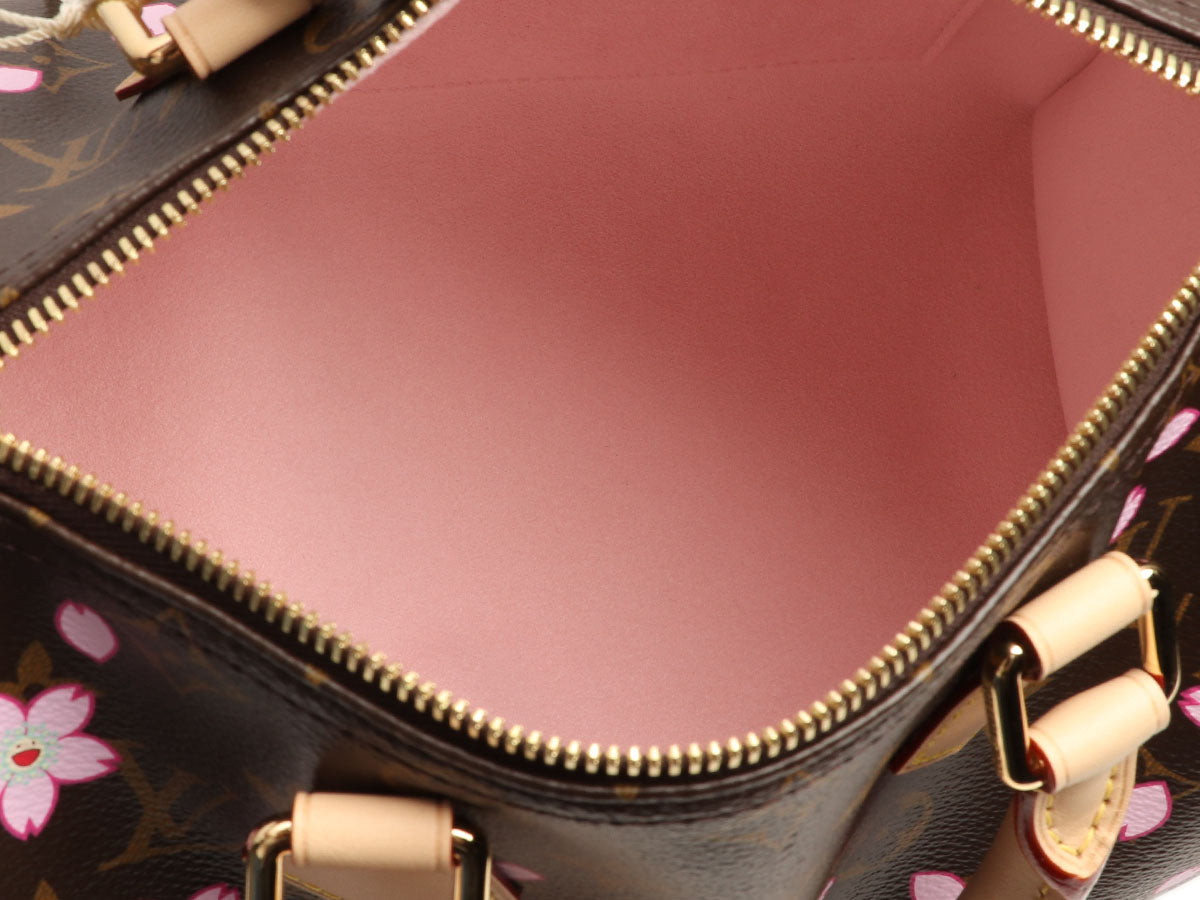 Louis Vuitton LV x TM Cherry Blossoms Speedy 25 - Image 8